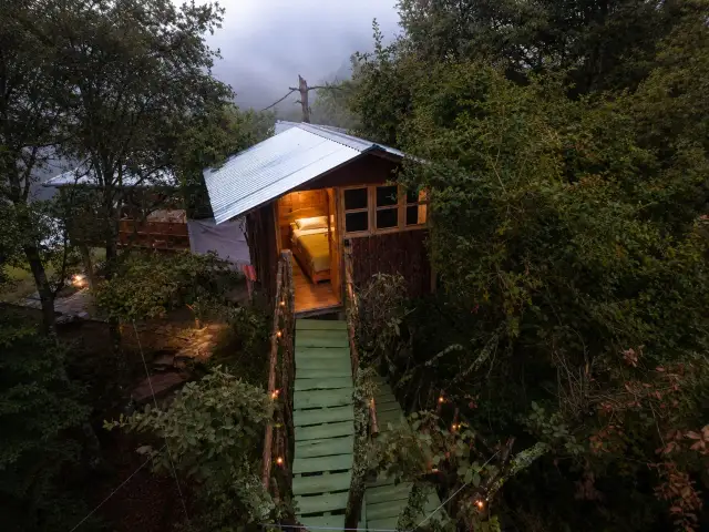 Foto de La pequeña casa en el árbol